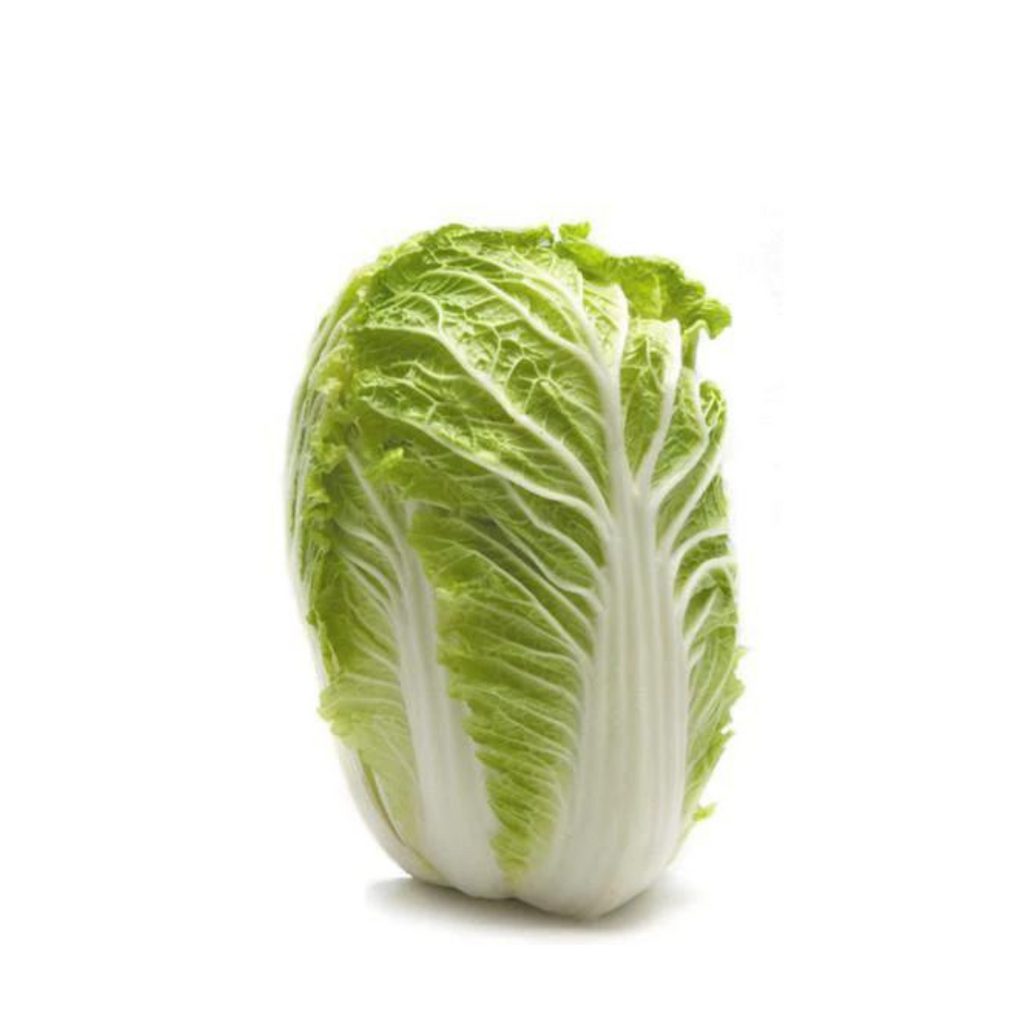 Cabbage - Wombok / Chinese