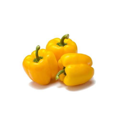 Capsicum - Yellow