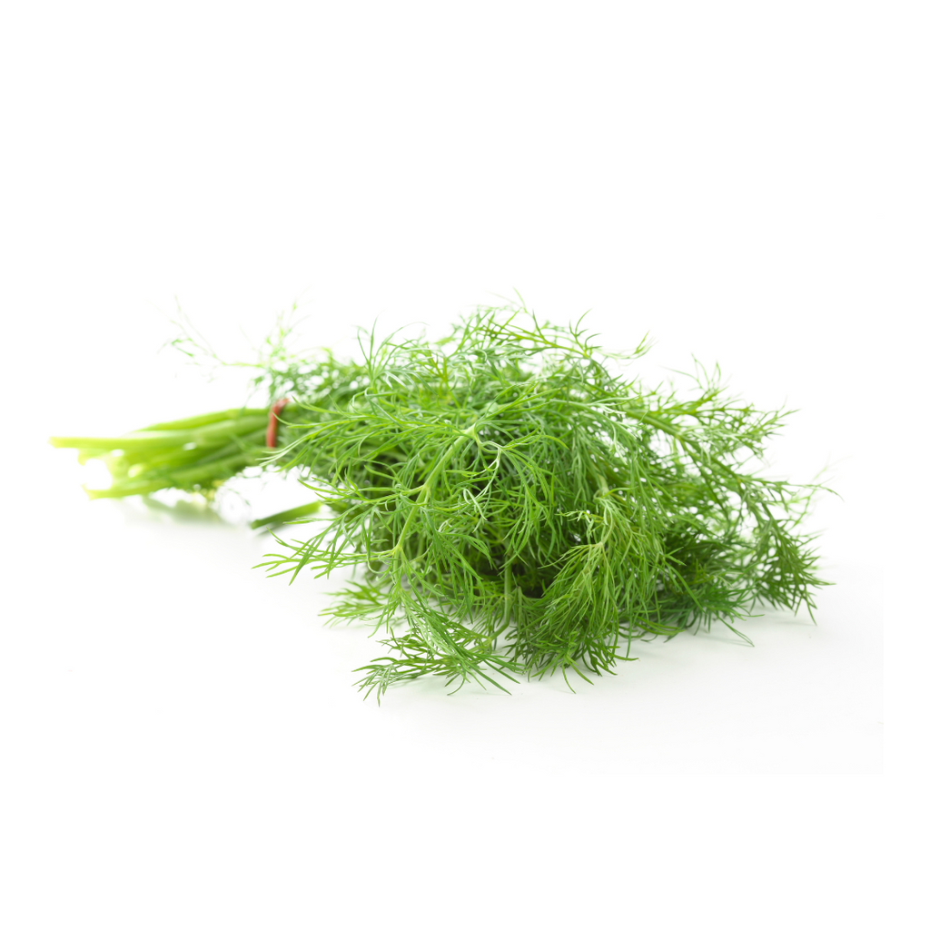 Dill