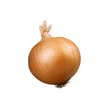 Onion - Brown