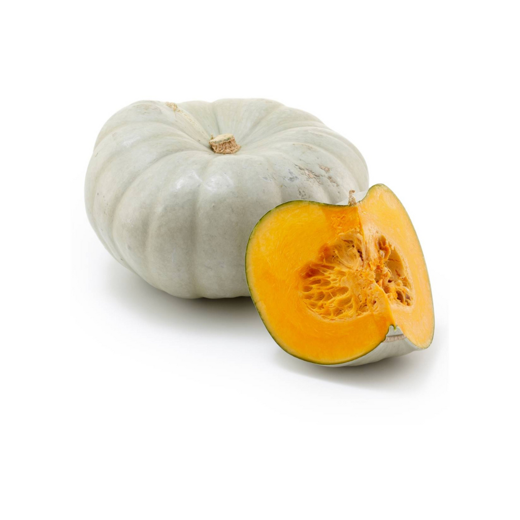 Pumpkin - Grey Quarter