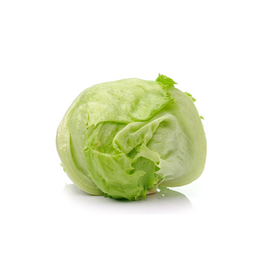 Lettuce - Iceberg